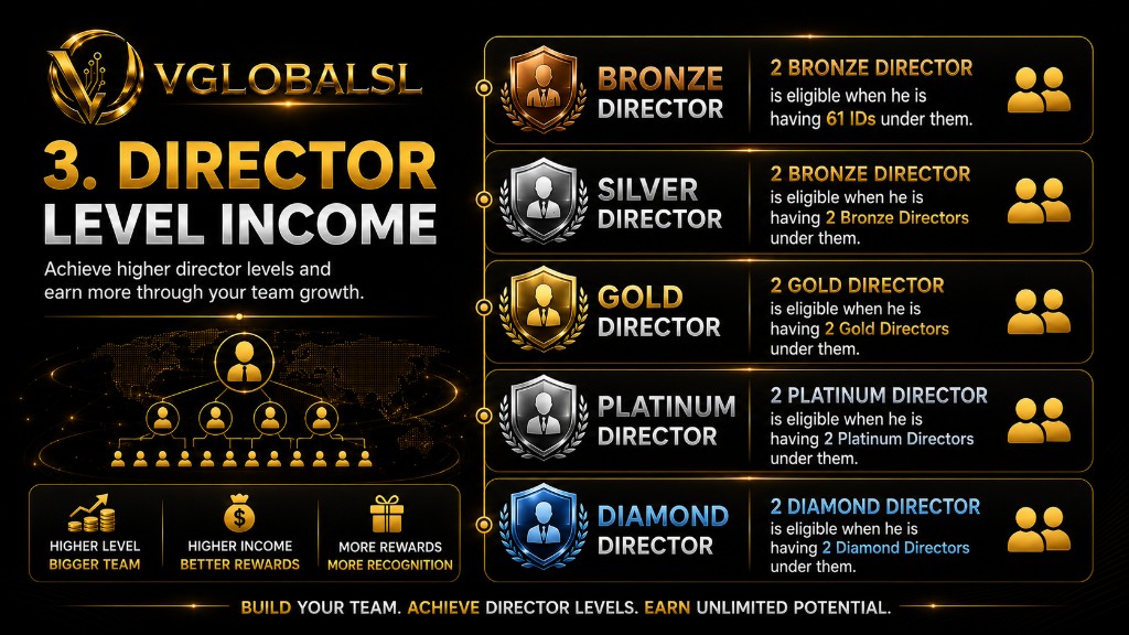 VGLOBALSL — Director Level Income